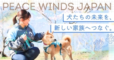 PRフォト